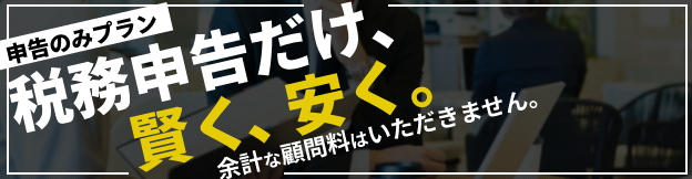 申告のみプラン